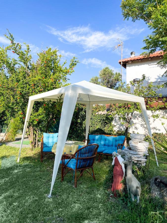 Nea Kallikrateia Casa Lia-Beach Front Villa מראה חיצוני תמונה